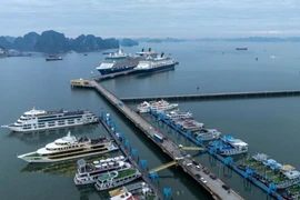 Quảng Ninh cấm biển ứng phó bão số 11 Matmo