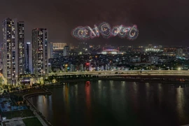 Chi tiết vị trí 19 điểm bắn pháo hoa dịp Tết Nguyên đán Bính Ngọ ở Quảng Ninh