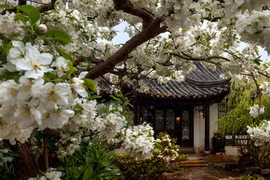 Người xưa dặn, tiết Xuân phân không làm 3 việc, xui xẻo tránh xa