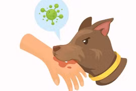 59.000 trường hợp tử vong vì dại mỗi năm, cách gì phòng tránh?