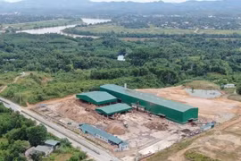 Lào Cai tạm dừng hoạt động Công ty TNHH Kiệt Lâm YB sau tai nạn chết người