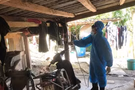 Nghệ An phát hiện 2 ca viêm não Nhật Bản ở 2 xã miền núi