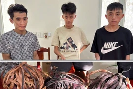 Bắt giữ 3 đối tượng trộm cắp tài sản của nhiều ngư dân ở Thanh Hóa