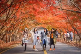 Du lịch Hàn Quốc mùa lá đỏ, chọn tour nào lịch trình ‘chuẩn đẹp’?