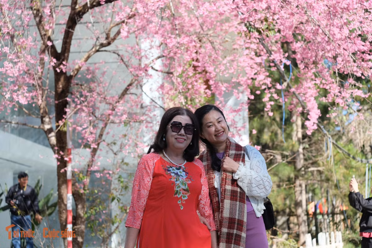 Càng sát Tết, khung cảnh phố núi càng trở nên thơ mộng, mang đến cảm giác yên bình, dễ chịu cho người dân và du khách.