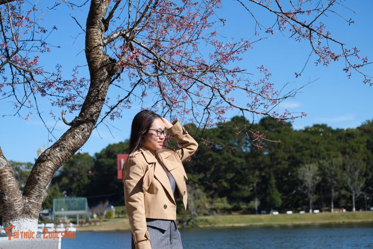 Không khí Tết vì thế cũng trở nên rộn ràng hơn, nhất là vào buổi sáng và chiều, khi lượng du khách đổ về khu vực trung tâm ngày một đông.