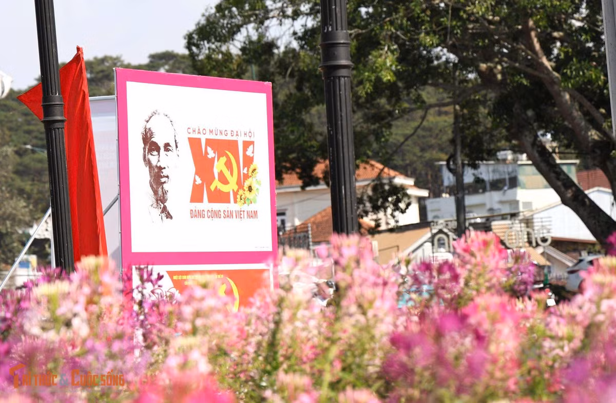 Đà Lạt rực rỡ cờ hoa, panô, khẩu hiệu chào mừng Đại hội đại biểu toàn quốc lần thứ XIV của Đảng.