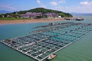 Miền Đông Trung Quốc chuẩn bị ứng phó với bão Dolphin