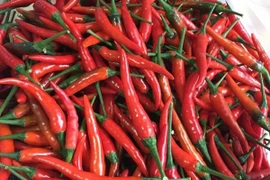 Từ gia vị rẻ tiền, ớt thành mặt hàng “xa xỉ”