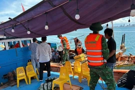 Đà Nẵng: Nở rộ tour “câu mực đêm” chui, tiềm ẩn nhiều rủi ro cho du khách