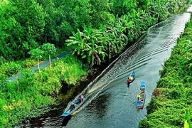 Cà Mau đầu tư hạ tầng, mở tuyến du lịch sinh thái U Minh Hạ