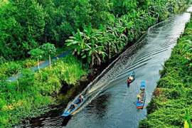 Cà Mau đầu tư hạ tầng, mở tuyến du lịch sinh thái U Minh Hạ