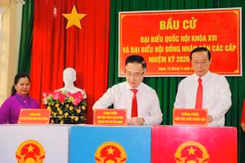 TPHCM: Cử tri phường Vũng Tàu rộn ràng ngày bầu cử