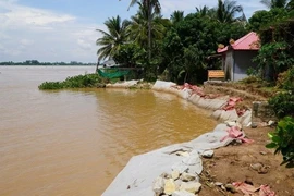 Đồng Tháp đầu tư kè 1,1 km ngăn sạt lở bờ sông Tiền