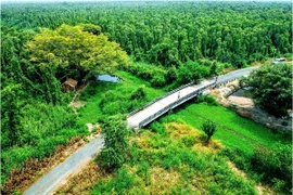 Cà Mau kêu gọi đầu tư du lịch sinh thái tại vùng lõi rừng U Minh Hạ