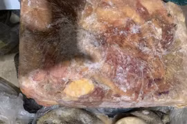 TP HCM phát hiện hơn 18 tấn lòng bò, thịt bò không rõ nguồn gốc