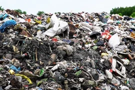 Cà Mau đầu tư nhà máy điện rác Năm Căn hơn 1.700 tỷ đồng