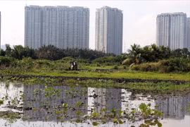 Tiền sử dụng đất được tính từ khi nào?