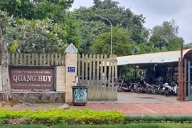 BR-VT: Quang Huy trúng gói thầu xây đường giao thông xã Bình Ba