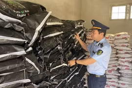 Phạt hơn 150 triệu đồng doanh nghiệp bán phân bón sai quy định tại Gia Lai