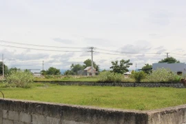 Lâm Đồng đẩy nhanh giải phóng mặt bằng dự án đường sắt tốc độ cao Bắc – Nam