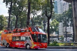 Dừng đỗ sai, chạy vào đường cấm: Xe buýt 2 tầng bị “tuýt còi”