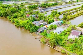 Cà Mau: Đầu tư 480 tỷ đồng gia cố bờ sông Gành Hào