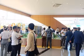 TP HCM: Cảnh báo tình trạng mua bán đất dự án “chui”