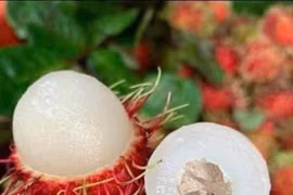 Giá trái cây giảm sâu