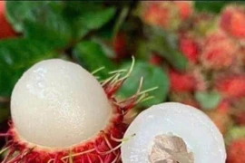 Giá trái cây giảm sâu