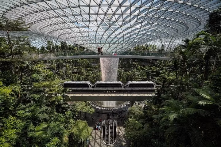 Điểm nổi bật là thác nước trong nhà cao nhất thế giới, được bao quanh bởi những khu vườn bậc thang và con đường đi bộ giống như rừng. Ảnh: Architectural Digest India