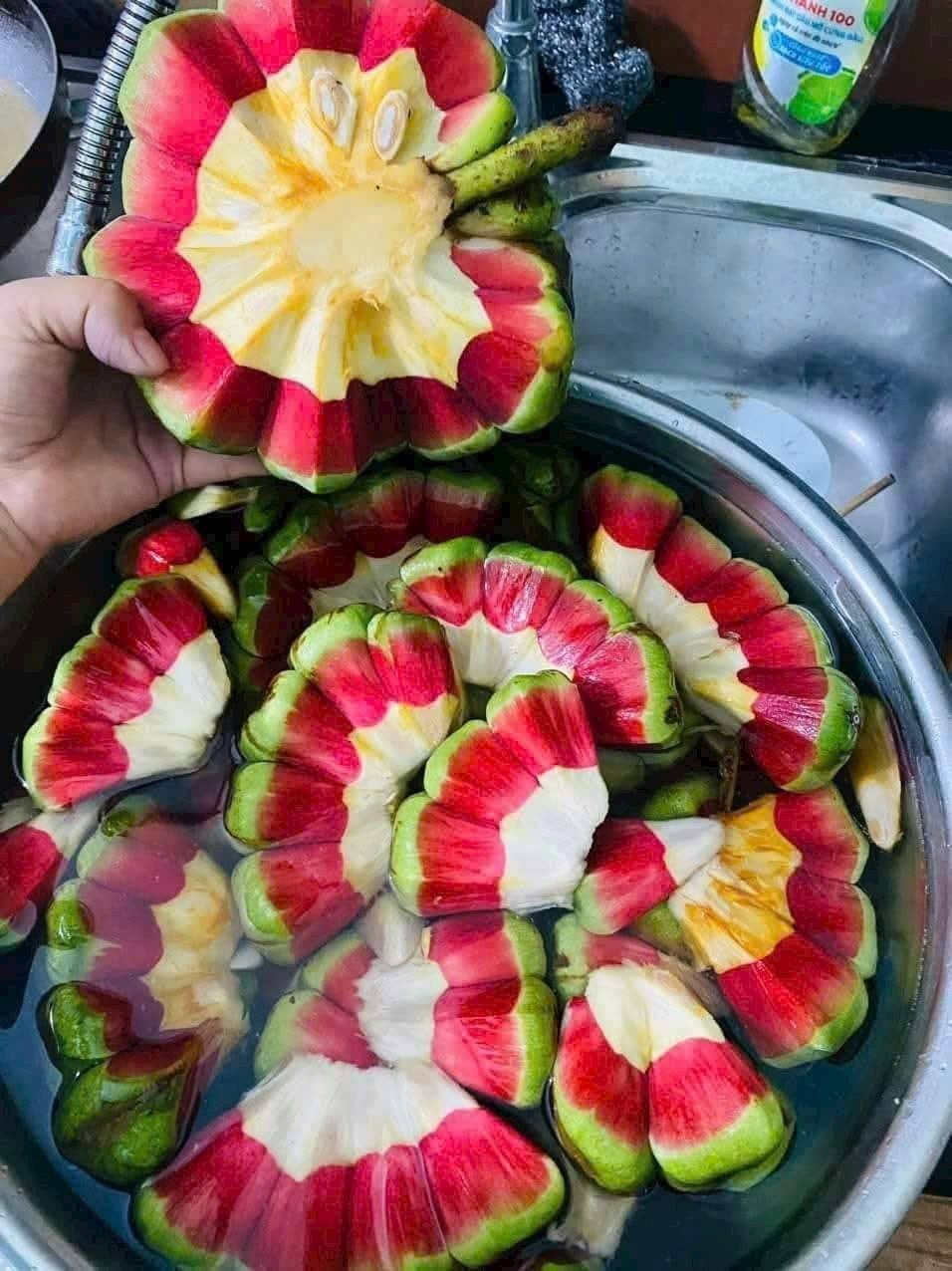 Không chỉ dùng làm thực phẩm, na rừng còn được sử dụng làm thuốc, giảm đau, kích thích tiêu hóa. Ảnh: Facebook