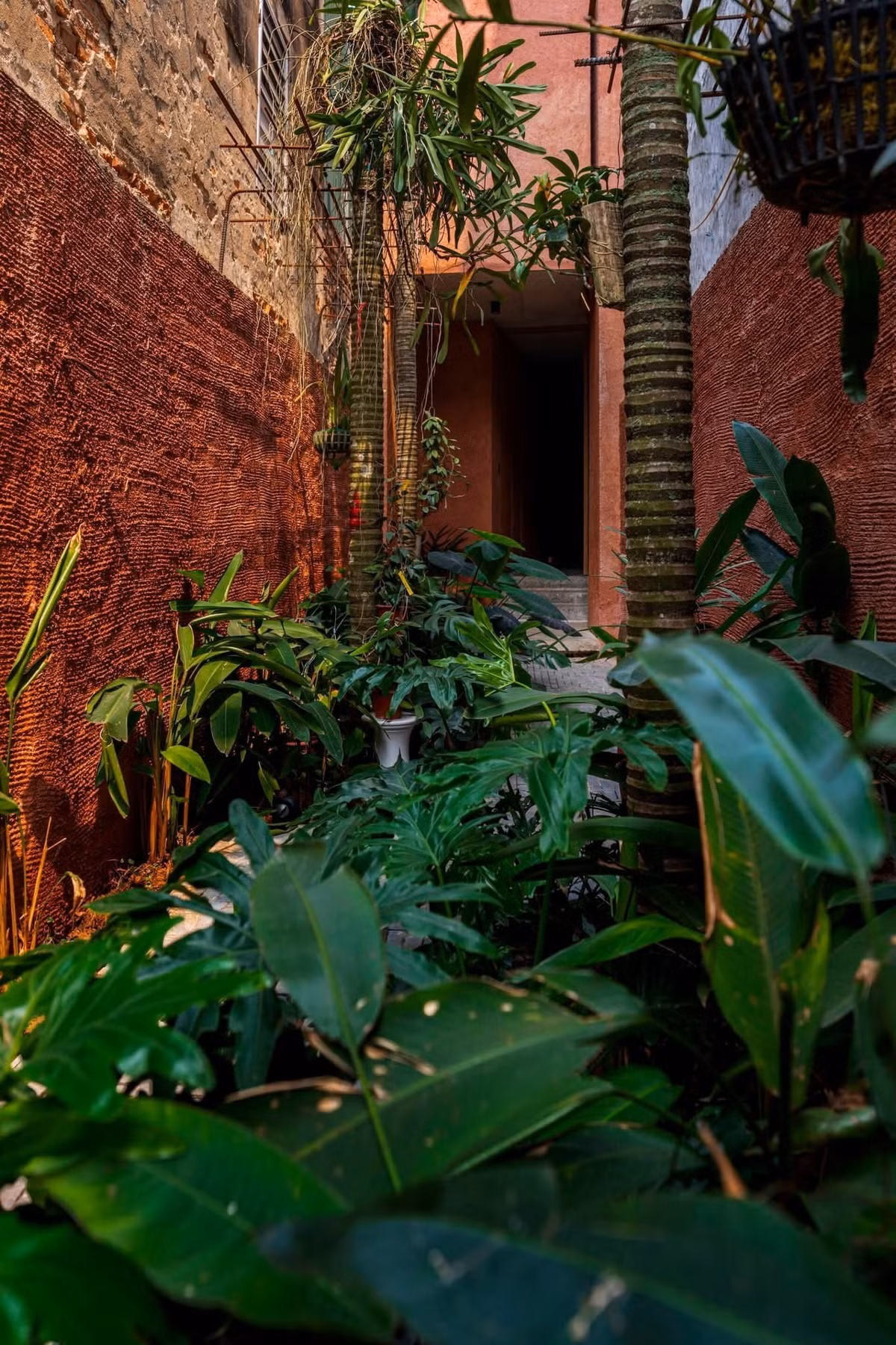 Kế thừa kiến ​​trúc bản địa của nhà ống truyền thống, ngôi nhà làm mát thụ động, tối đa hóa diện tích xanh từ lối vào, sân trong và vườn trên mái. Ảnh: Cao Xuân Hoa