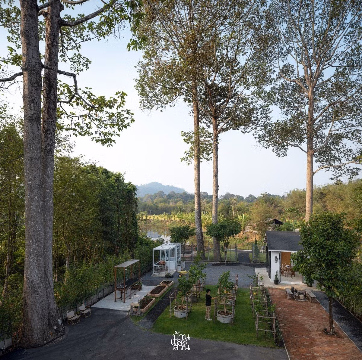 Phía sau nhà được gia chủ thiết kế một sân sau để trồng các loại rau và thảo mộc phục vụ cuộc sống hàng ngày như chanh, cà phê, bạc hà, hương thảo, húng quế, củ cải... Ảnh: Baanlaesuan >>> Mời độc giả xem video: Nhà 25m2 - cơ hội cho nhiều người. Nguồn: VTV24