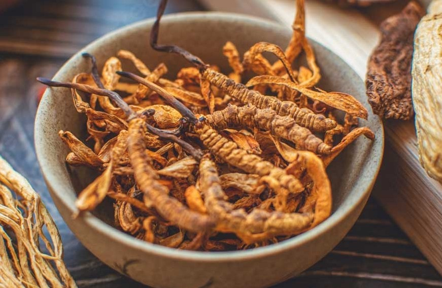 Tại Việt Nam, giá đông trùng hạ thảo dao động từ 100 - 500 triệu đồng/kg, tùy loại. Tuy nhiên, đông trùng hạ thảo Tây Tạng, giá khởi điểm khoảng 700 triệu đồng/kg, với loại đắt nhất lên tới 2,2 tỷ đồng/kg. Ảnh: Phúc Nguyên Đường