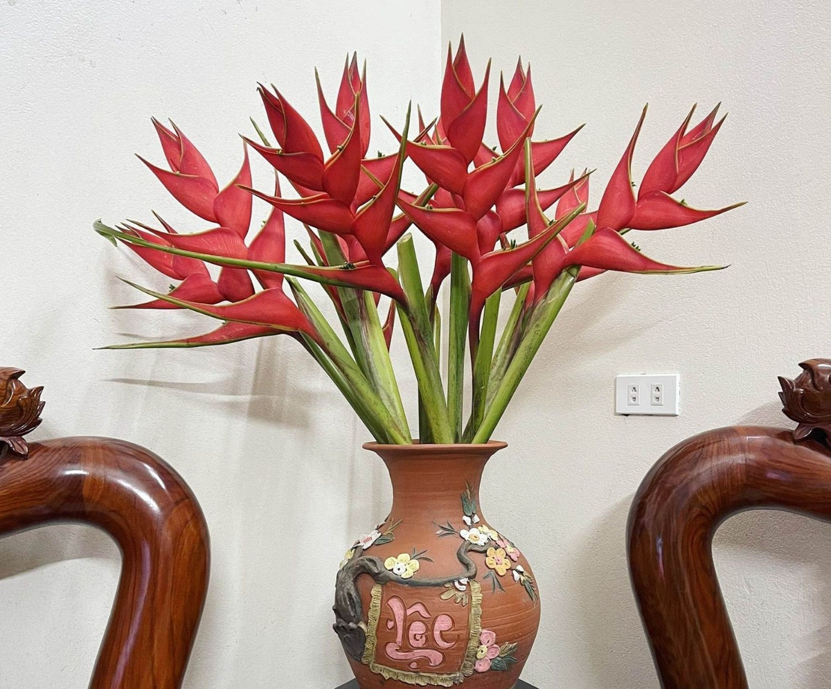 Chuối én đỏ tượng trưng cho thăng tiến, danh vọng và vận khí hanh thông. Trưng chuối én đỏ trong nhà dịp Tết được xem như lời chúc năm mới bứt phá, thành công. Ảnh: Facebook ﻿Thông tin trong bài chỉ mang tính chất tham khảo! ﻿