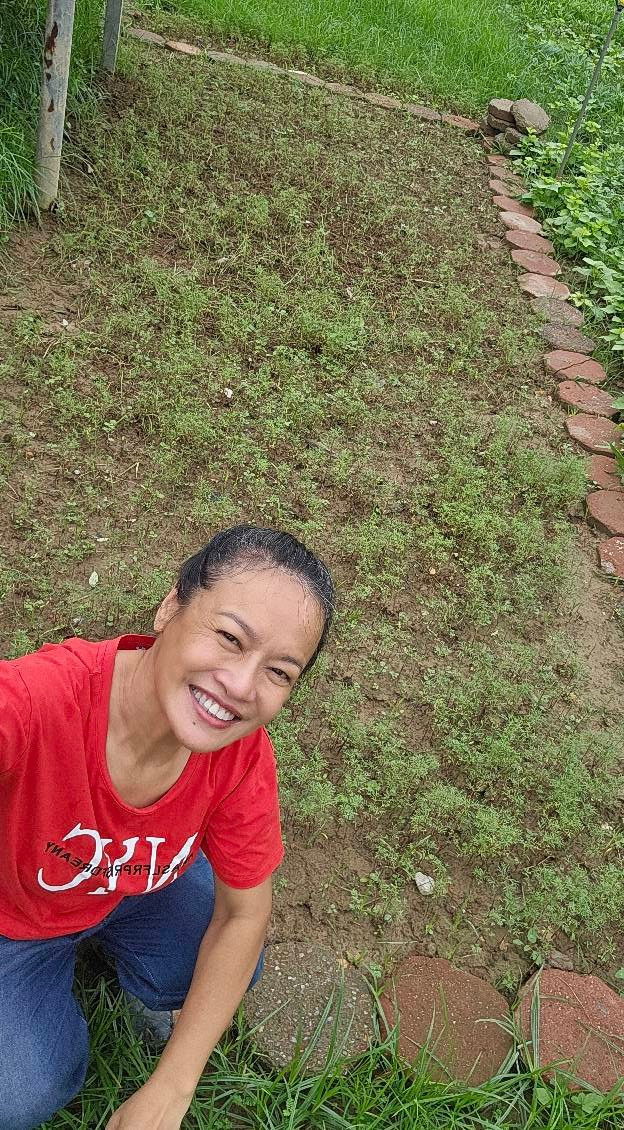 Trước đây, nữ diễn viên từng lên nhiều ý tưởng như trồng bãi cỏ vừng, hàng trúc hay đào hồ nước...Tuy nhiên, những lần Hà Nội xảy ra bão lớn đã phá hủy mọi công sức. Ảnh: FB Oanh Le Tu