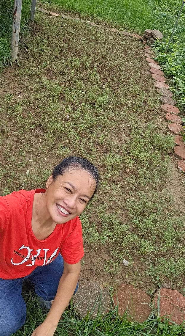 Trước đây, nữ diễn viên từng lên nhiều ý tưởng như trồng bãi cỏ vừng, hàng trúc hay đào hồ nước...Tuy nhiên, những lần Hà Nội xảy ra bão lớn đã phá hủy mọi công sức. Ảnh: FB Oanh Le Tu