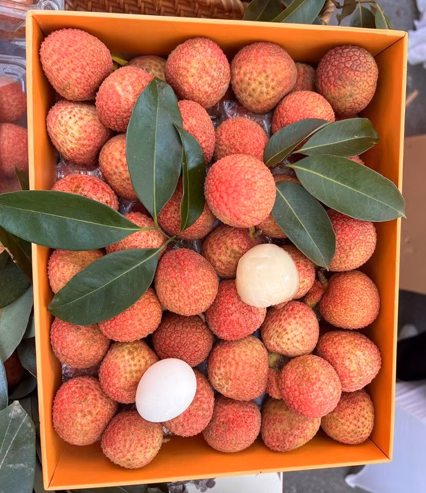 Khác với những quả vải thông thường, kích thước bằng khoảng 2 ngón tay, vải trứng - đặc sản Hưng Yên, to hơn nhiều, được so sánh bằng cả quả trứng gà. Ảnh: Facebook