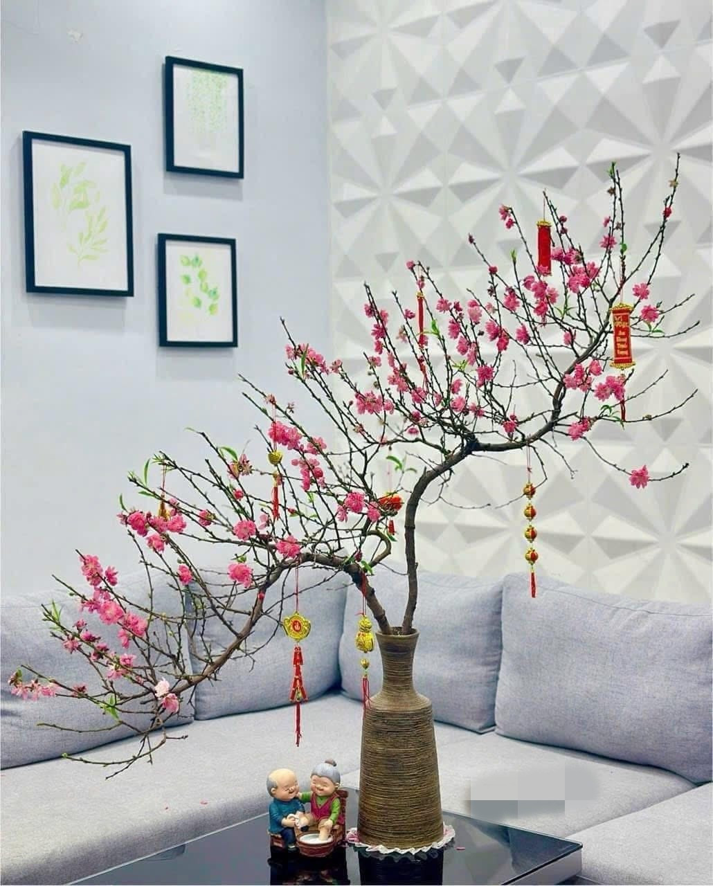 Với kích thước nhỏ xinh, đào huyền mini thích hợp để trên bàn trà phòng khách nhỏ hoặc bàn làm việc. Ảnh: FB Vũ Huyền