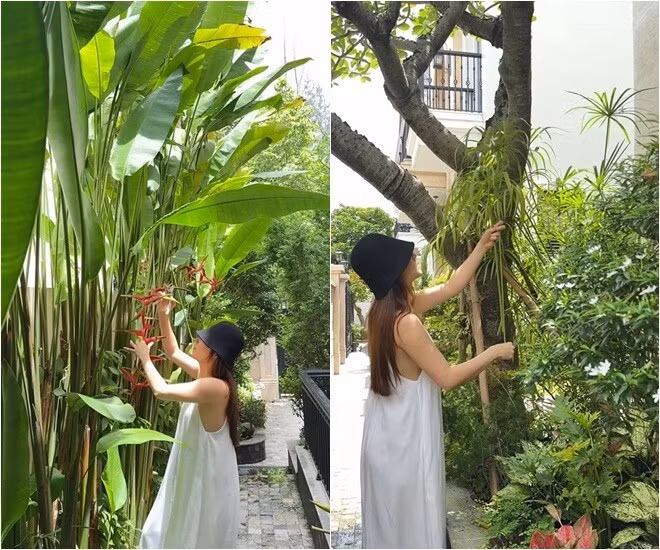 Mới đây, Diễm My 9X chia sẻ một đoạn video ghi lại khoảnh khắc cô cắt hoa từ vườn mang vào cắm, vô tình để lộ một phần không gian sống. Ảnh: chụp màn hình