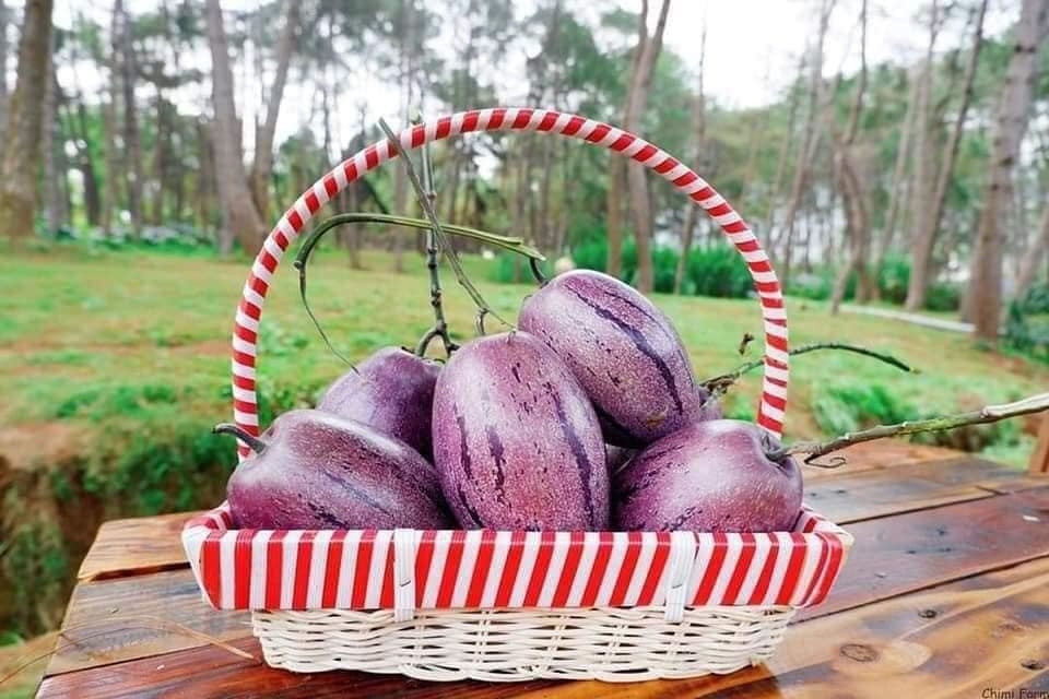 Vì vậy, nhiều người mua về ngoài mục đích ăn tráng miệng thì còn để hỗ trợ tăng cường sức khoẻ. Ảnh: Facebook