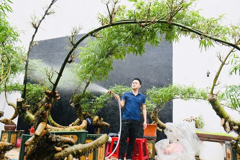 View - Gốc tre xù xì tưởng bỏ đi thành 'siêu phẩm' bonsai tiền triệu | Báo Tri thức và Cuộc sống - TIN TỨC PHỔ BIẾN KIẾN THỨC 24H