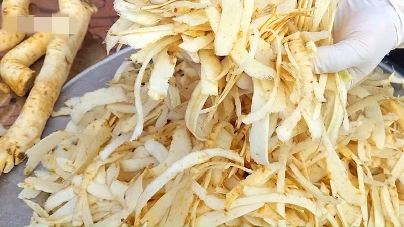 Khó nhất là công đoạn bào rễ. Người làm phải thao tác rất khéo léo để miếng đinh lăng đủ mỏng, không được dính tia gỗ, nếu không mứt sẽ bị cứng và mất ngon. Ảnh: VOV