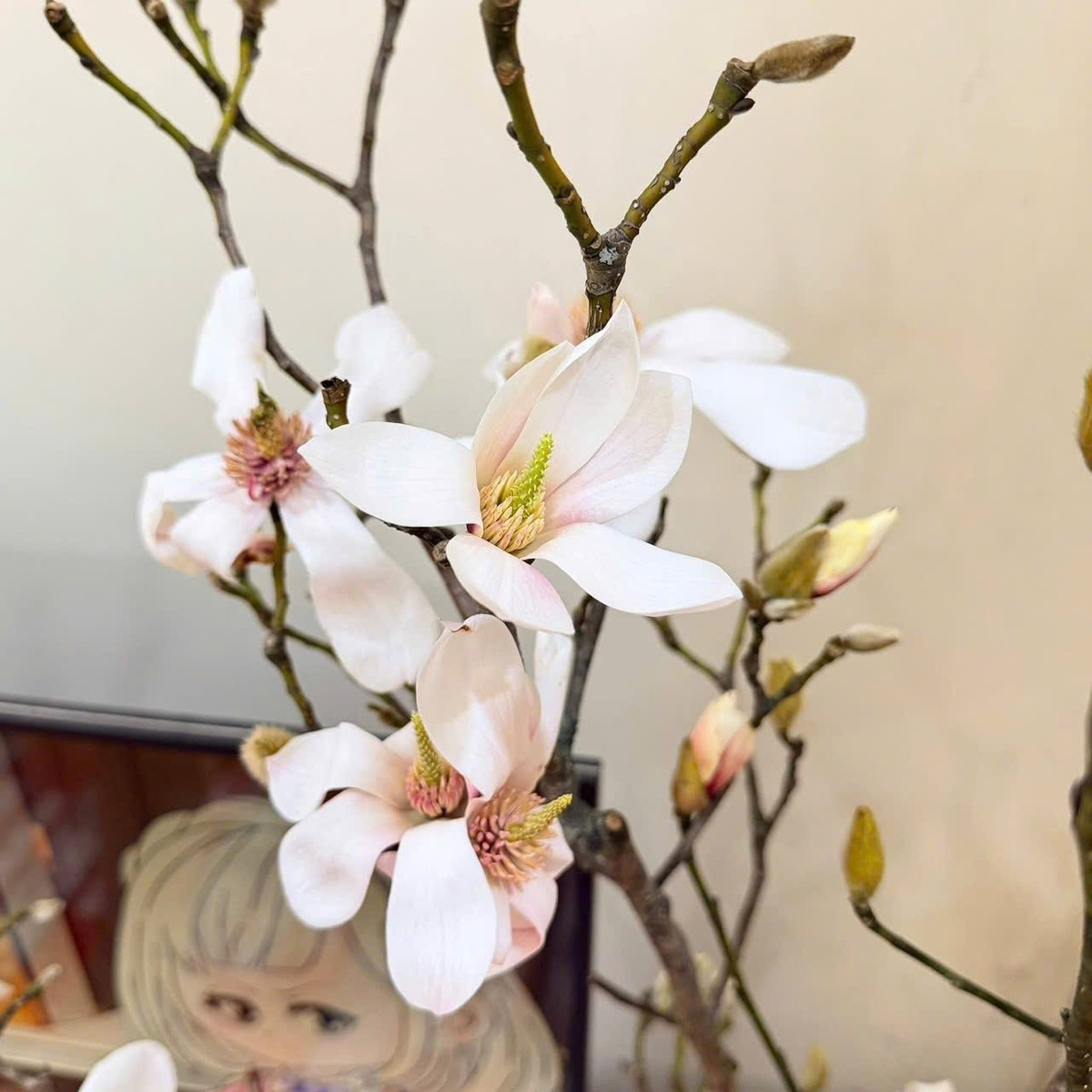 Thậm chí, có địa chỉ bán online hoa mộc lan chỉ hơn 100.000 đồng/set 2 - 3 cành nhỏ. Ảnh: FB An Corner Shop