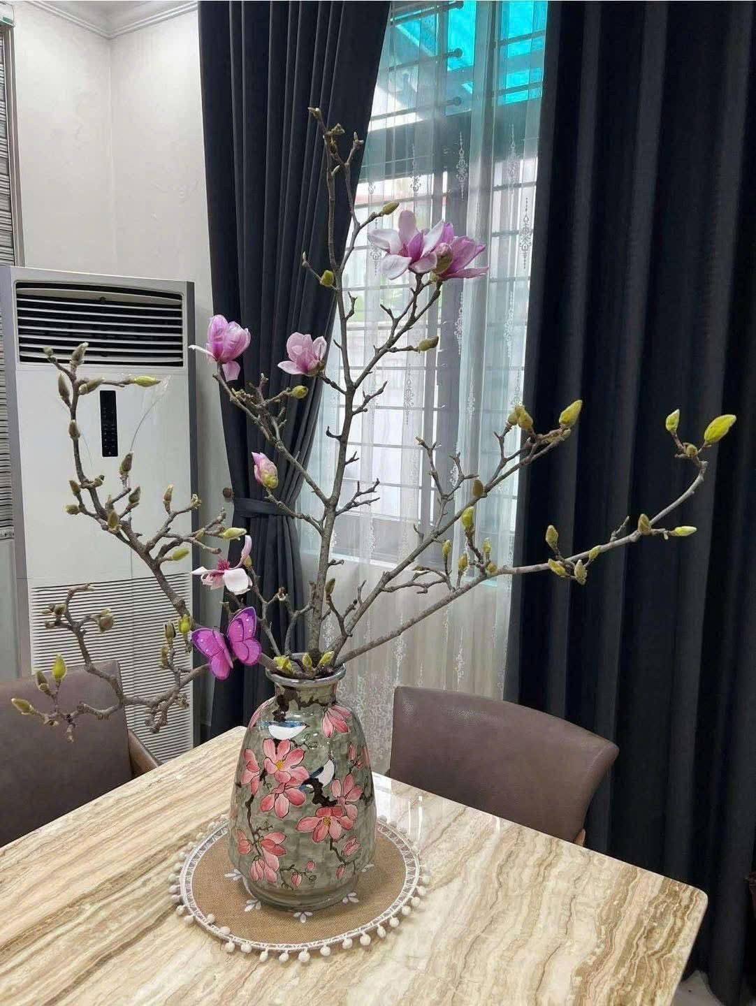 Trên thị trường, giá hoa mộc lan khá đa dạng. Các chậu mộc lan phổ thông, ghép từ những cành nhỏ dao động từ 120.000 - 500.000 đồng. Ảnh: FB Vườn Cây Hạnh Phúc