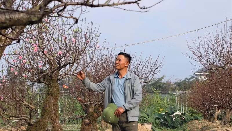 Tại phường Vinh Hưng, tỉnh Nghệ An, khu vườn của anh Lê Văn Hoàn thu hút nhiều khách đến chiêm ngưỡng. Ảnh: Nhandan