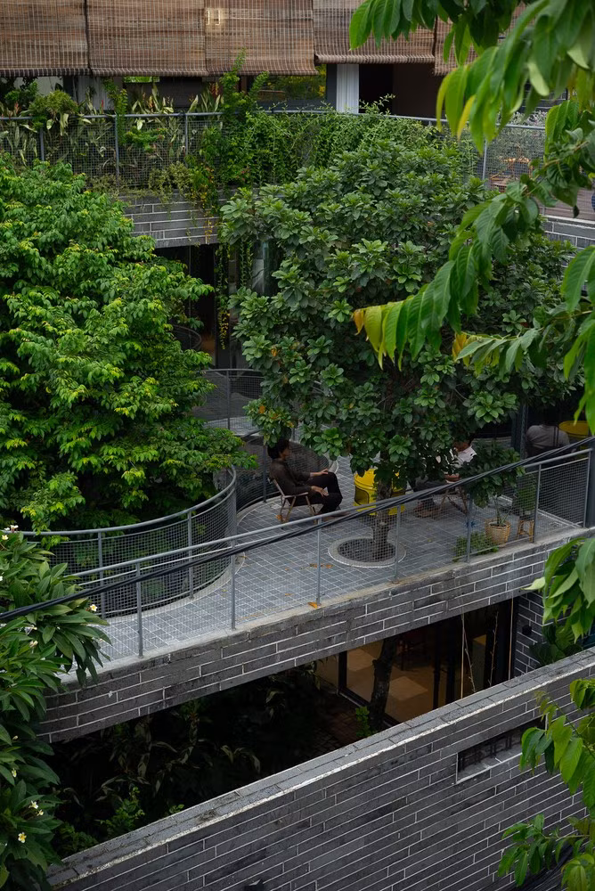 Phía trên khu vườn là một hiên nhà rộng bao quanh. Nơi đây giống như một "sân chơi" rộng lớn, không gian liền mạch từ bên trong ra hiên nhà, tạo thành một vòng tròn liên tục bên dưới những tán cây. Ảnh: Quangdam