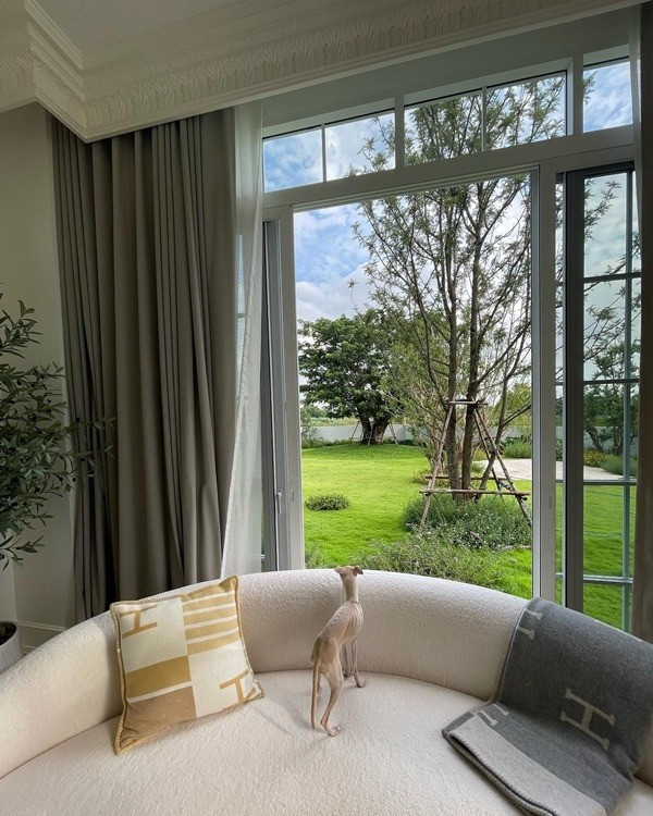 Phòng ngủ với tầm view cực chill. Ảnh: Khaosod