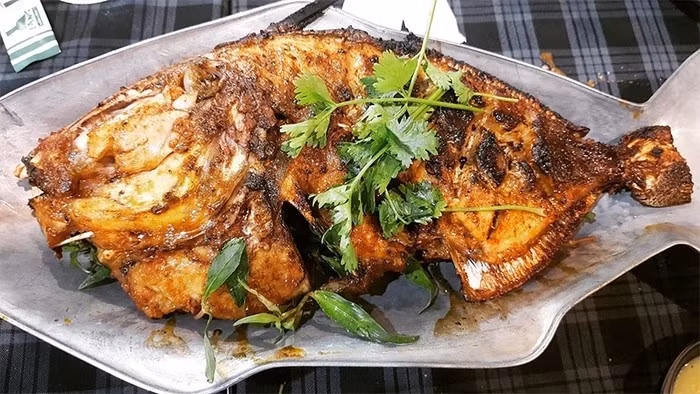 Cá bò giáp thường chỉ bán trong các nhà hàng và quán ăn đặc sản miền biển. Tuy nhiên, do khó bắt và hiếm nên chúng được xếp vào món ăn thời vụ, muốn ăn phải đặt trước vì không phải lúc nào cũng có sẵn. Ảnh: Saostar